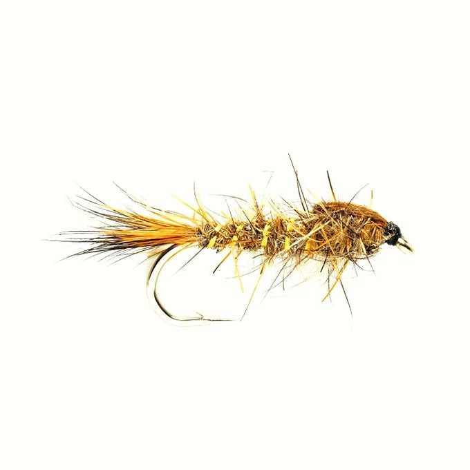 Fishing fly with brown and black body on a white background