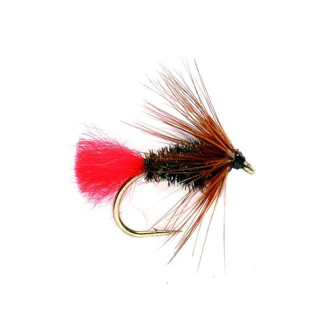 Fishing fly with red and brown details on a white background