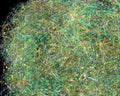 Fine Spectra Flash