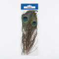Turrall Peacock Moon Feathers