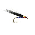 Caledonia Royal Cormorant