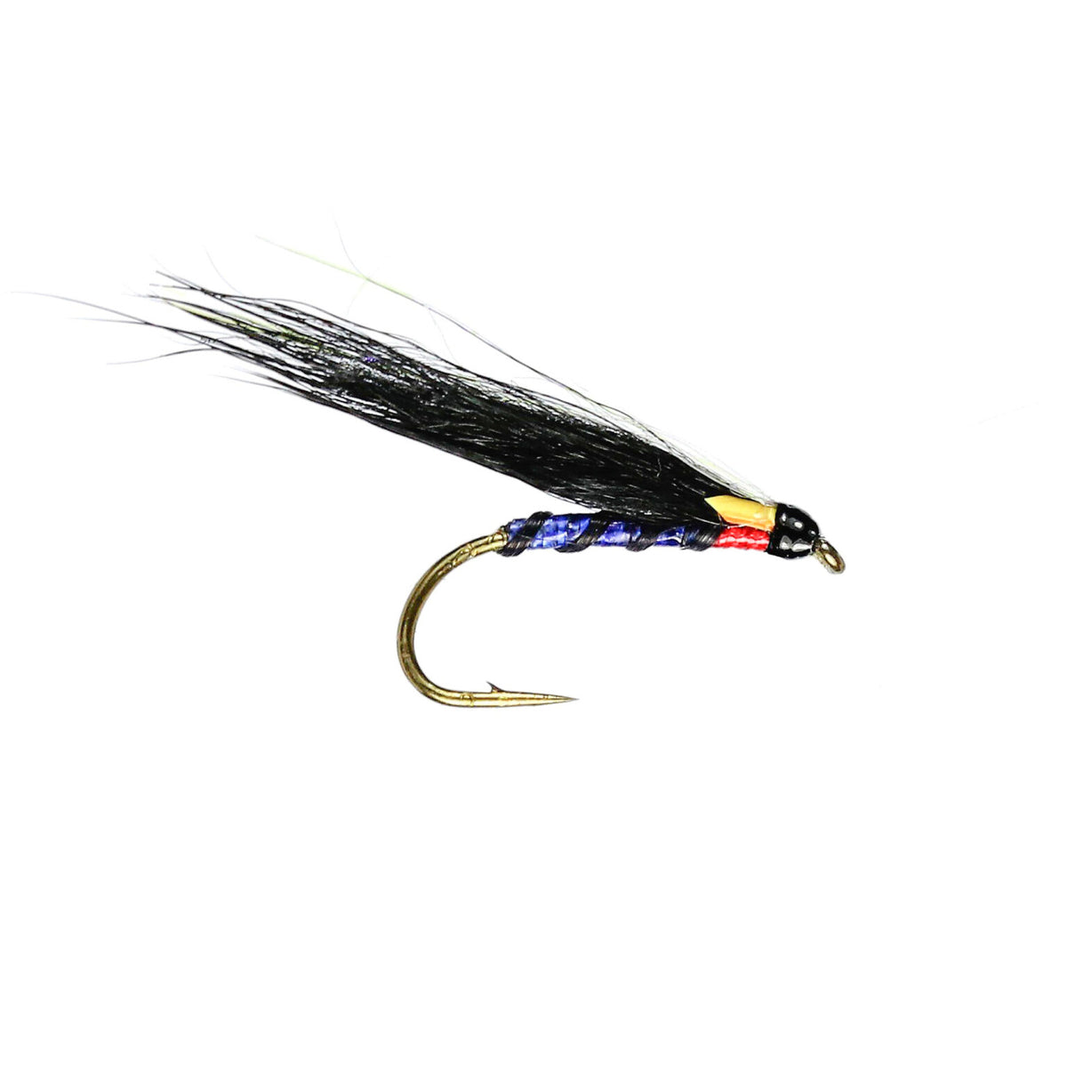 Caledonia Royal Cormorant