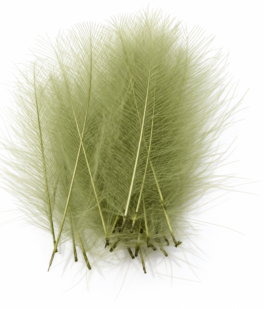 Semperfli Pro Grade CDC Feathers – 30 Feather Pack