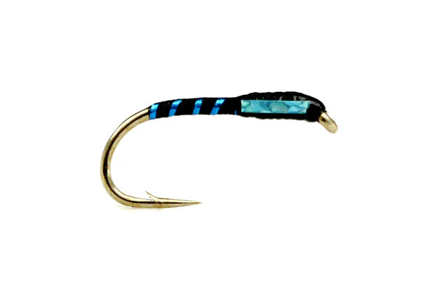 Black and Blue Holo Buzzer