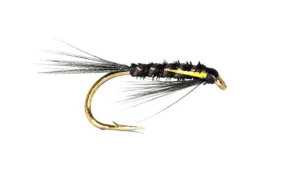 Black and Sunburst Diawl