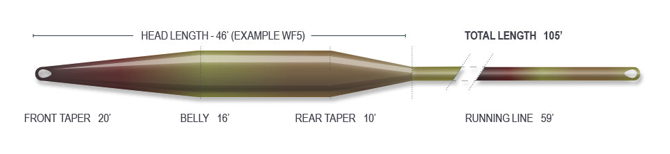Airflo Clear Intermediate