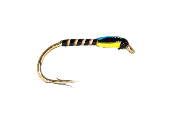 Mirage Quill Buzzer Sunburst