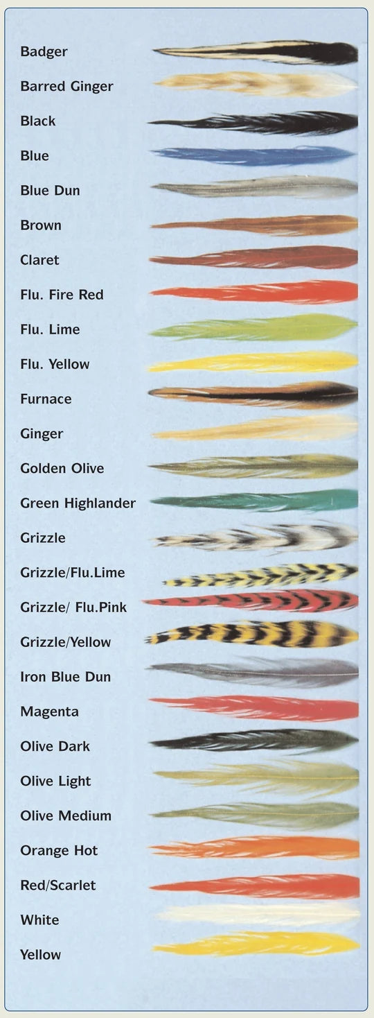 Complete Hen Neck Cape Feathers