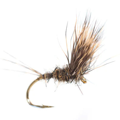 Fishing fly with brown and black colors on a white background