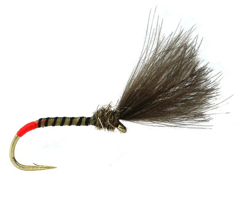 Fishing fly with black and red details on a white background