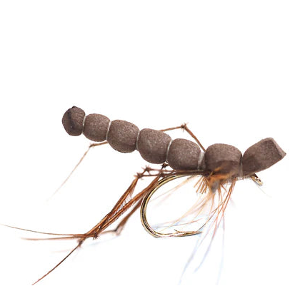 Fishing fly with brown body and extended legs on a white background