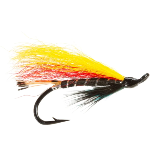 Garry Dog Single