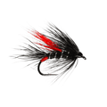 Bibio Sedgehog