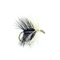 Black Loch Ordie