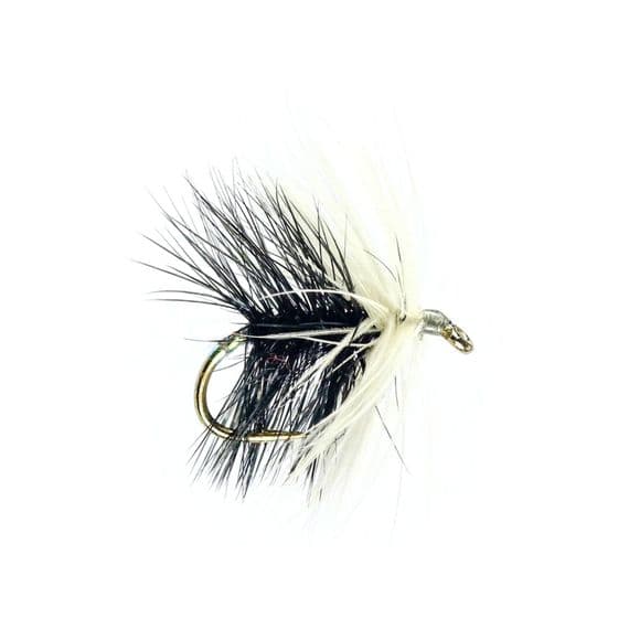 Black Loch Ordie