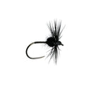 Black Spider Dry