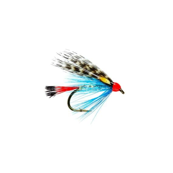 Blue Teal JC