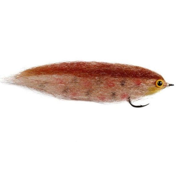 Brown Trout Pike Fly