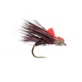 Claret Sedgehog