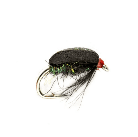 Coch Y Bonddu beetle