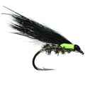 Cormorant