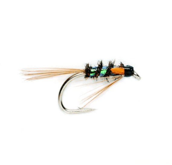 Diawl Bach Pearl