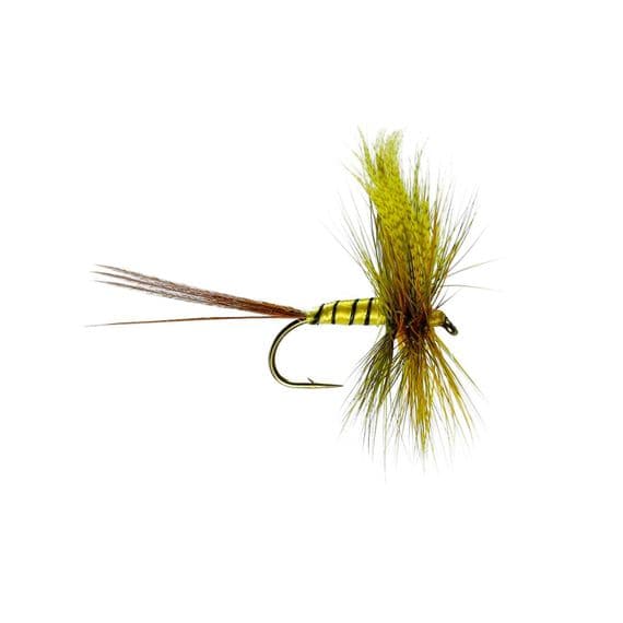 Erne Special Mayfly
