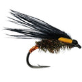 Flash Cormorant