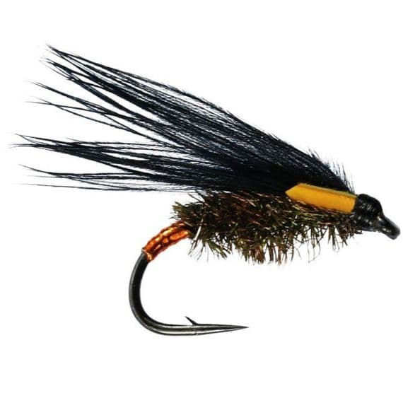 Flash Cormorant