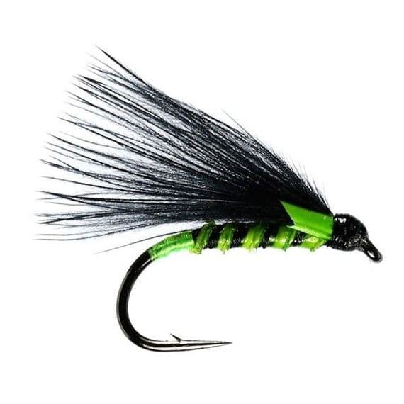 Green Quill Cormorant