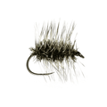 Griffiths Gnat