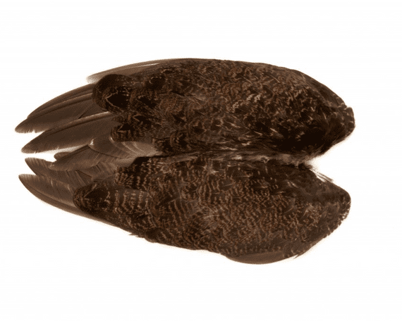 Grouse Whole Wings