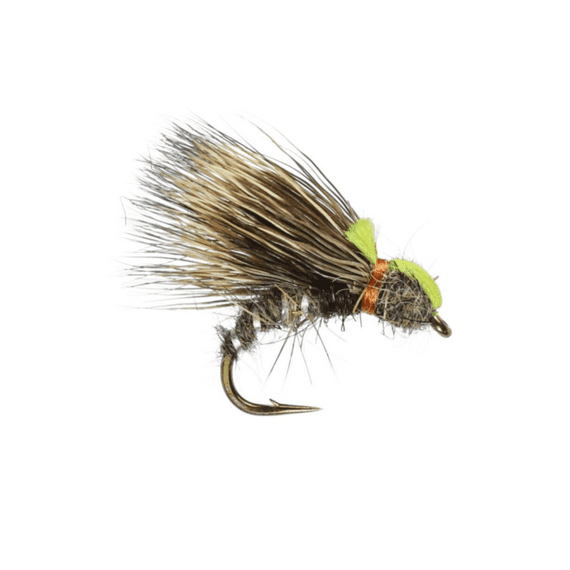 Hare's Ear Sedgehog