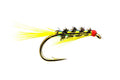 Sunburst Diawl Bach
