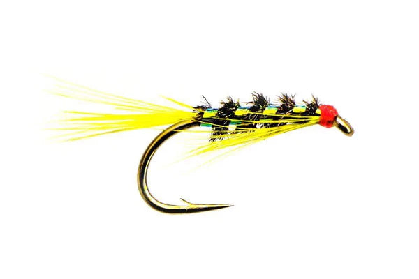 Sunburst Diawl Bach