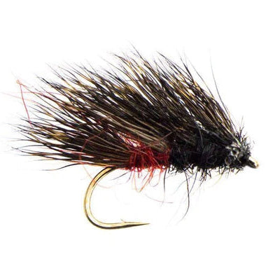 Fishing fly with black and red body on a white background