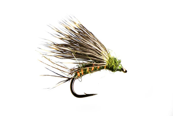 Half Hog Olive
