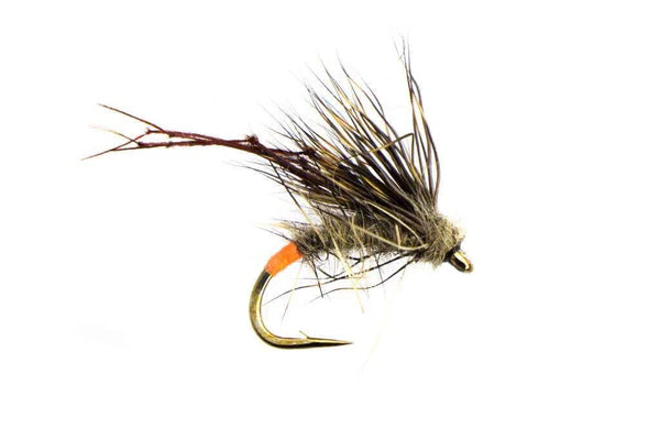Half Hog Hares Ear