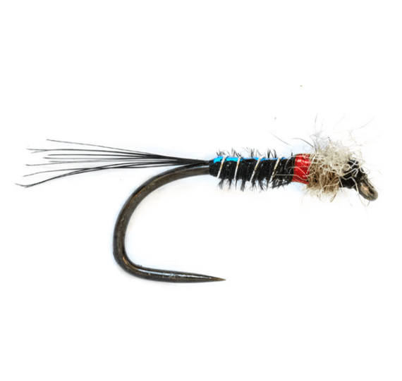 Jenkin's Black & Pearl Muskins