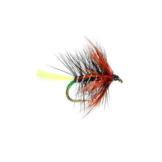 Kate McLaren Fluo Tail