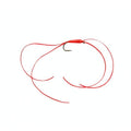 Leggy Blood Worm