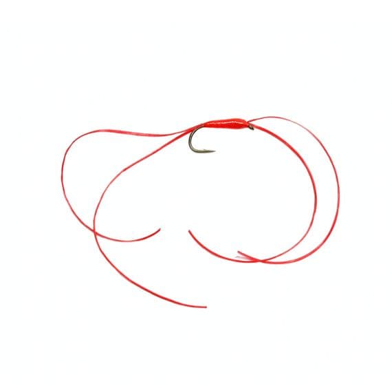 Leggy Blood Worm