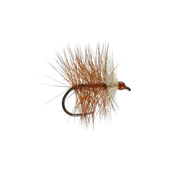 Loch Ordie Dry