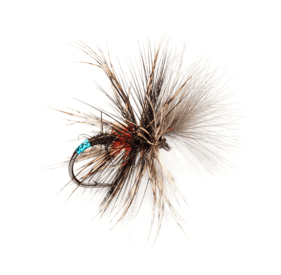 McPhail Bibio Grunter