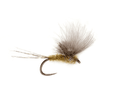 McPhail CDC Olive