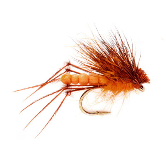 McPhail DBH Orange