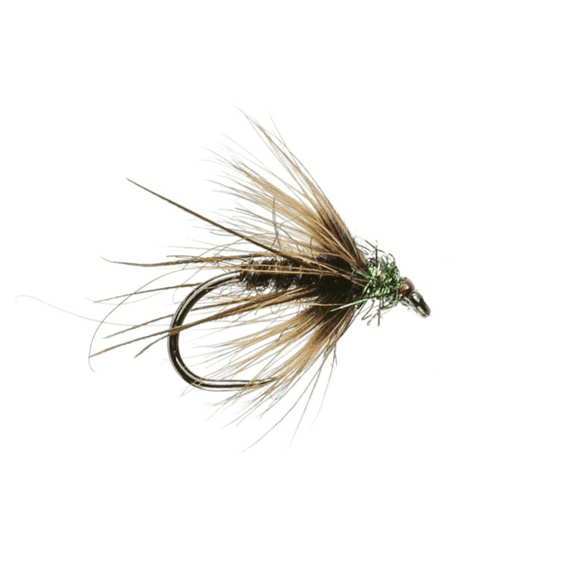 Midas Olive