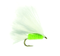 Mini Cat's Whisker