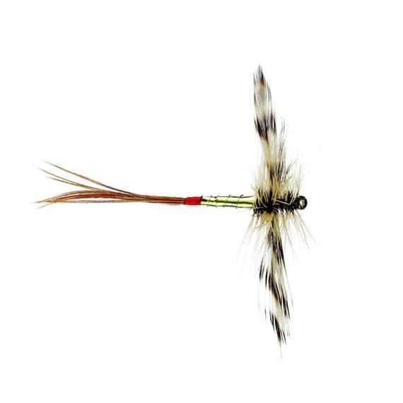 Mirage Spent Male Mayfly