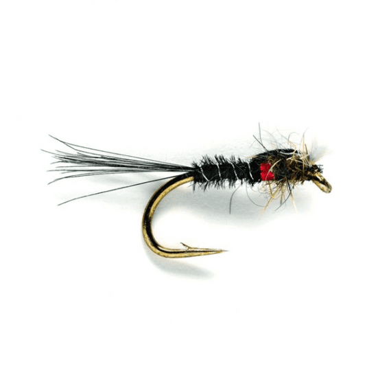 Muskin's Black